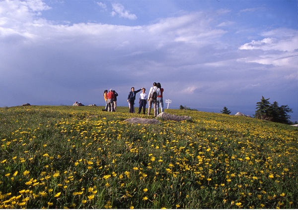 1559290598252077408.jpg 拉法山3.jpg