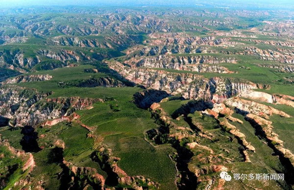 1558951029145086705.jpg 1.jpg