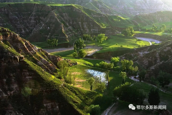 1558951087878091694.jpg 1.jpg