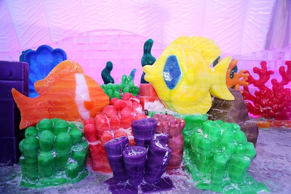 1559525310641048151.jpg 5cf36db7a3104842e4b088e1.jpg