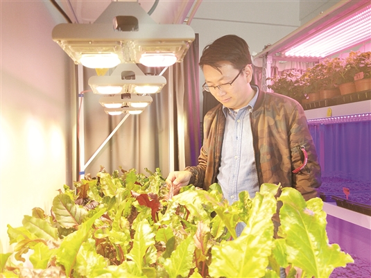 1559806311003035228.jpg res01_attpic_brief (4).jpg