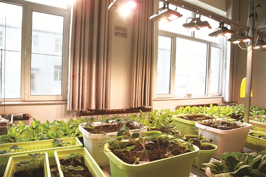 1559806319007041169.jpg res04_attpic_brief (2).jpg