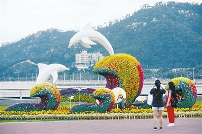 1560217317204046166.jpg 3.jpg