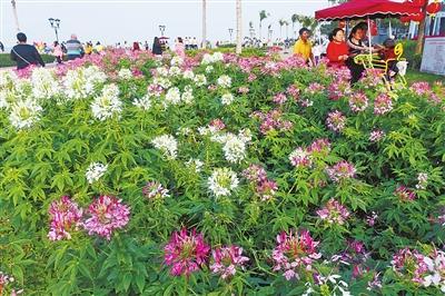 1560217325608042362.jpg 4.jpg