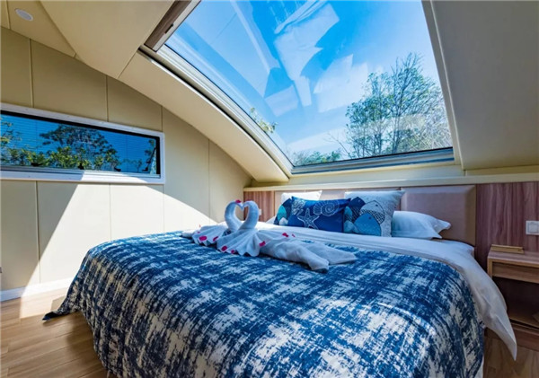 1560303569601076634.jpg 1.webp.jpg