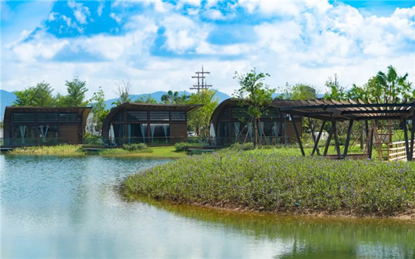 1560303613403077684.jpg 5.webp (1).jpg