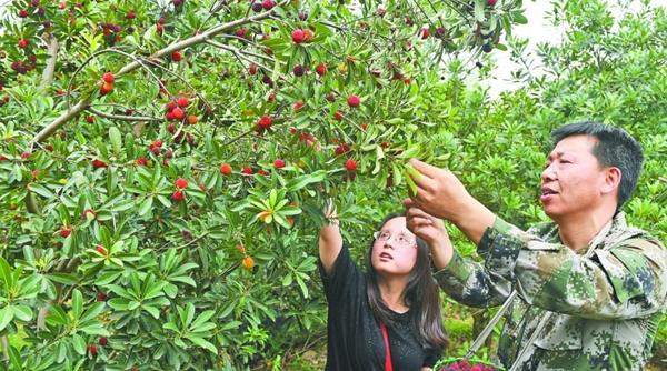 1528965936361071131.bmp 03.bmp