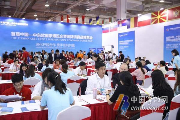 1560417848758091439.jpg 博览会.jpg