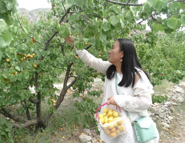 1560934034655036790.jpg 6a600c338744ebf8519bc3b9abcd2b2e6159a703_副本.jpg