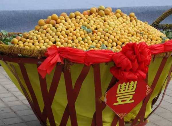 1560934042349076463.jpg 622762d0f703918fd3a341002709da9358eec447_副本.jpg