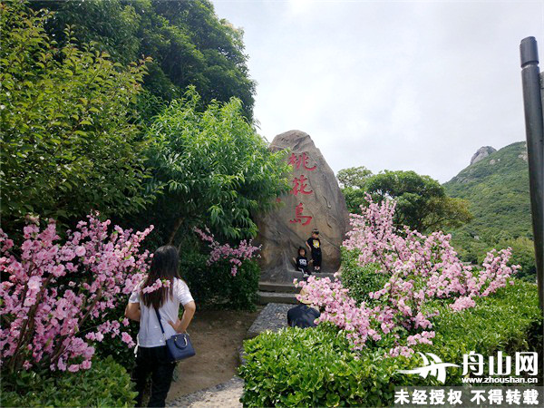 1560759762147005926.jpg 桃花岛.jpg