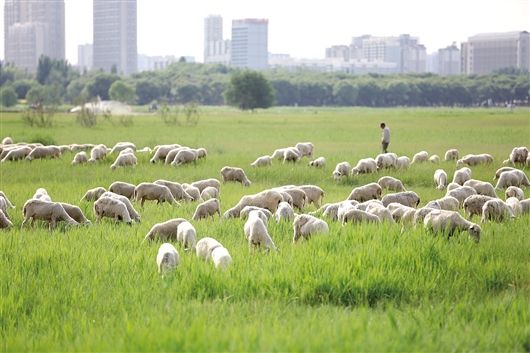 1561104609863096700.jpg res07_attpic_brief (2).jpg