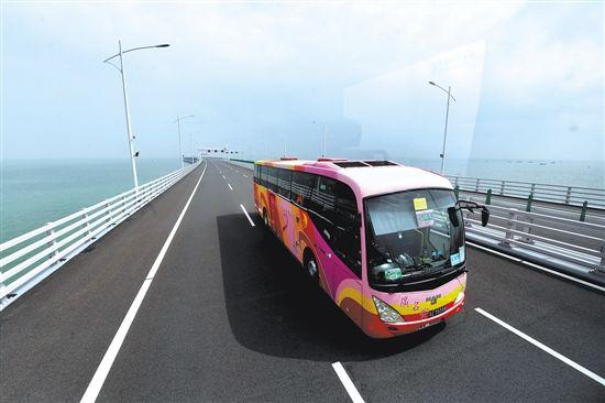 1561081076471020875.jpg 2.jpg