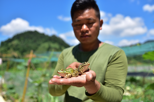 1561356647953089409.jpg 162_副本.jpg