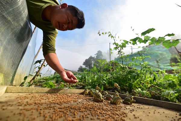 1561356668891004943.jpg 163_副本.jpg