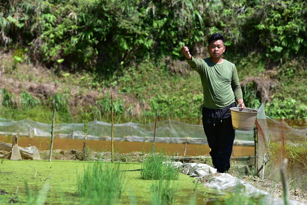 1561356686587041998.jpg 164_副本.jpg