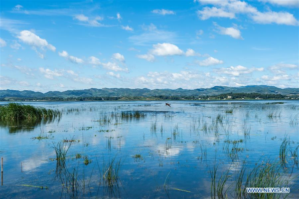 1561355634983067781.jpg 153.jpg