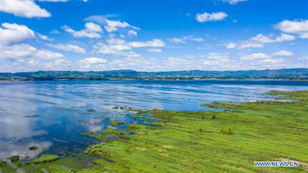 1561355653027063103.jpg 152.jpg