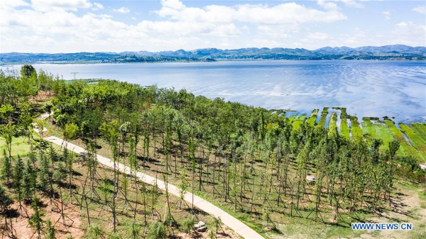 1561355671728032737.jpg 151.jpg