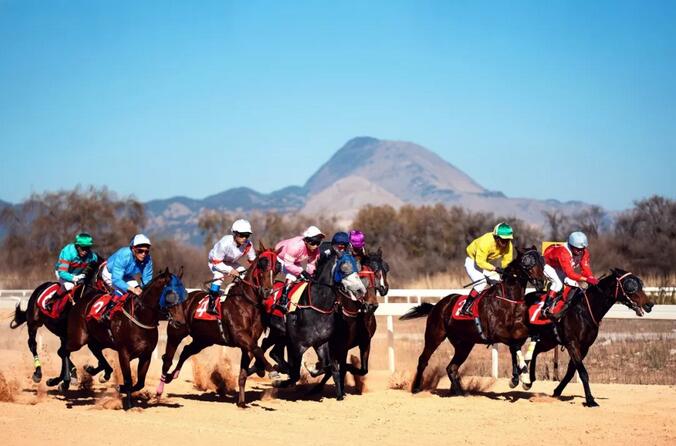 1561596282587089569.jpg 1561596282587089569.jpg