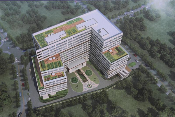 1561686191257092093.jpg 2_副本.jpg