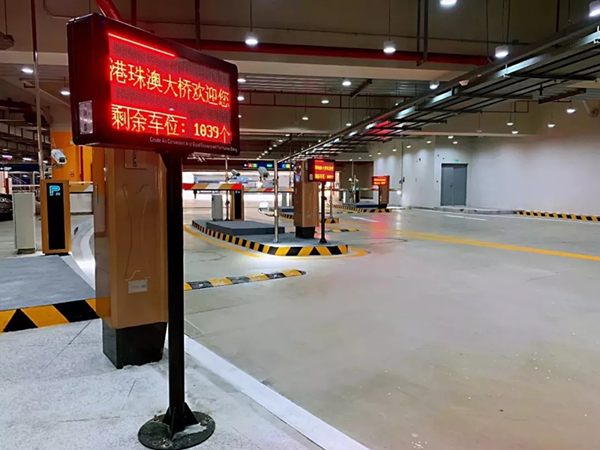 1562031406031054657.jpg 640.webp (1)_副本.jpg