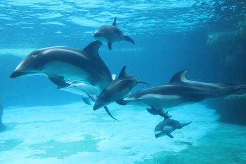 1562205232266075517.jpg 1.jpg