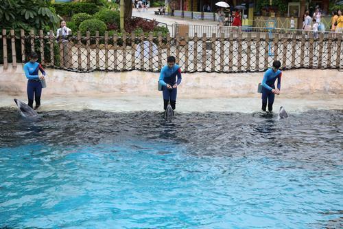 1562205240851096353.jpg 2.jpg