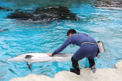 1562205249208076616.jpg .3.jpg