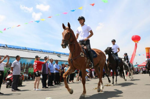 1562743877240000812.jpg 0004.jpg