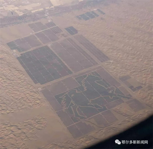 1562924217315064031.jpg 1.jpg