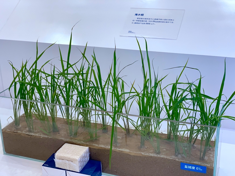 1563264181063045671.jpg 16.jpg