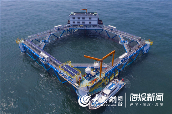 1563449011564084376.png 3.png