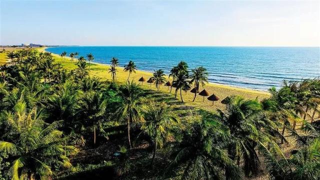 1563418502397032712.jpg 1563418502397032712.jpg