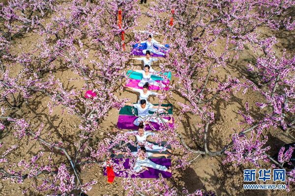 1554082429455019583.jpg 1124286997_15536433794981n_副本.jpg