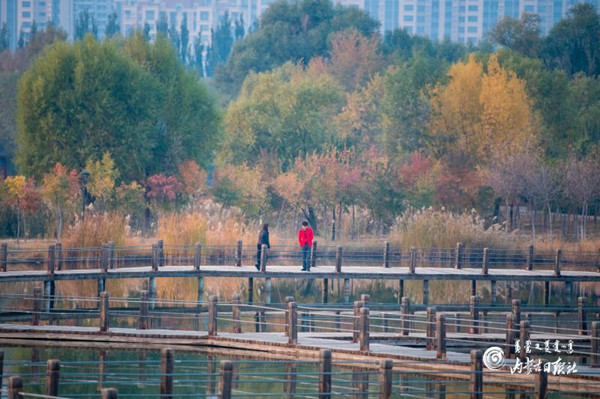 1571968418134050330.jpg 00300296544_600482db_副本.jpg