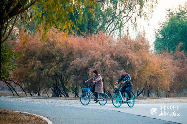 1571968437669063495.jpg 00300296546_0e890f13_副本.jpg