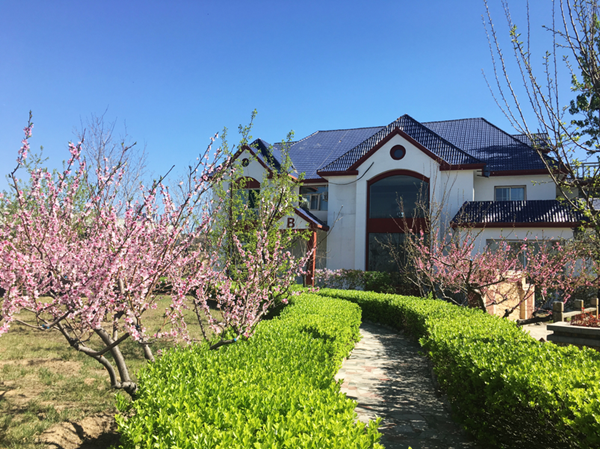 1552532301158023274.png 图片3.png