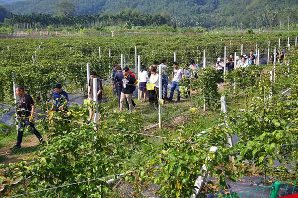 1573002975891043696.jpg 5dc10ebca310cf3e97a46672_副本.jpg