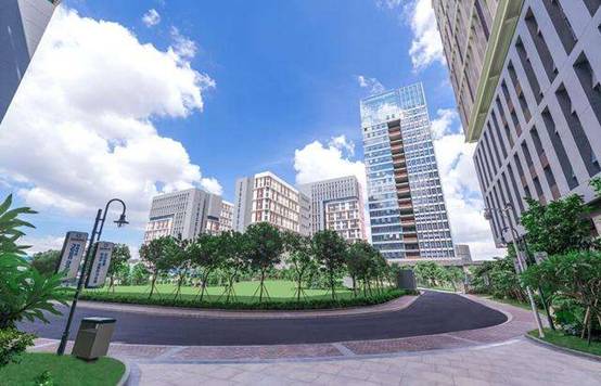 1511421922734019151.jpg image010.jpg