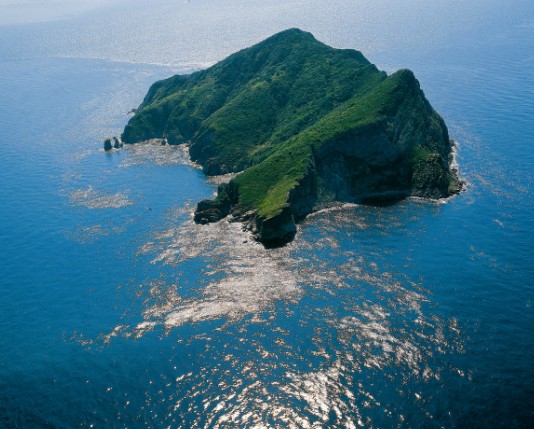 1553762619798081147.jpg 1483497814415047076.jpg