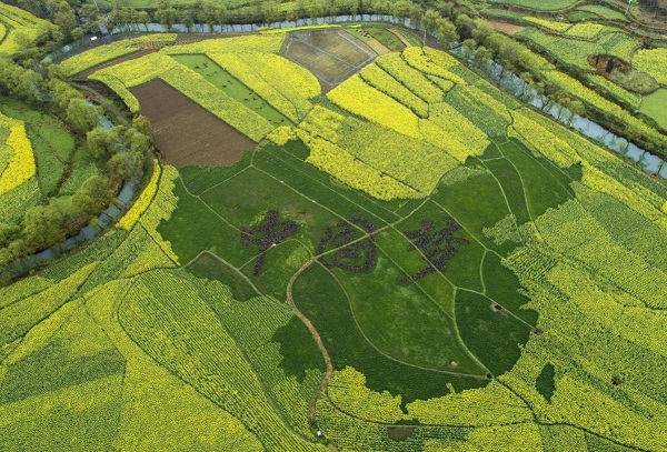 1583825072759035411.jpeg 5e622118a310128206594eae.jpeg