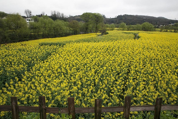 1583825111388074882.jpeg 5e622118a310128206594eb5.jpeg