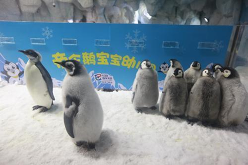 1509672836642096446.png 4_副本.png