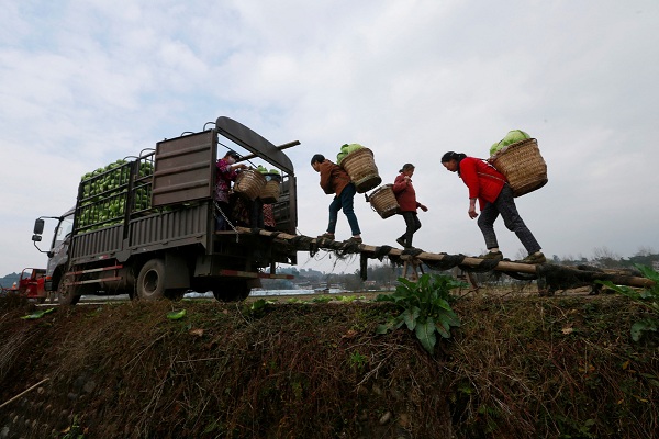 1586837322233050037.jpeg 5e94139fa3105d502d9dbeef.jpeg