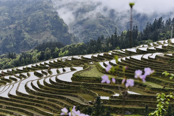 1586746285567079340.jpeg 5e900031a3105d502d9cded2.jpeg