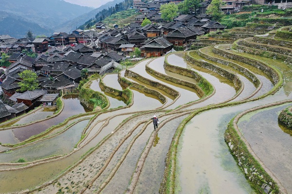 1586746300878062021.jpeg 5e900031a3105d502d9cded5.jpeg