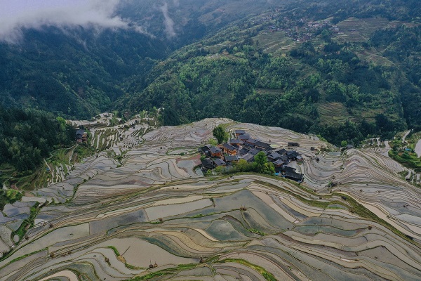 1586746326760023642.jpeg 5e900031a3105d502d9cdef0.jpeg