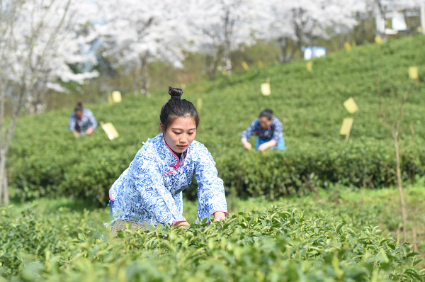 1585818815301068240.png 3.png