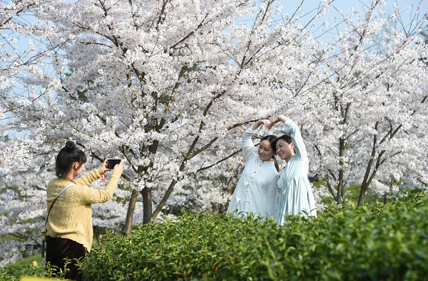 1585818842095040604.png 2.png